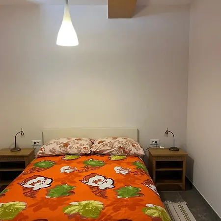 Apartment Pocitniska Hisa Pri Kustrcu