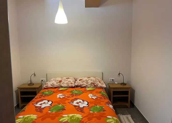 Apartment Pocitniska Hisa Pri Kustrcu